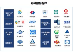雙百行動咨詢服務產品手冊 賦能國企改革，驅動價值提升